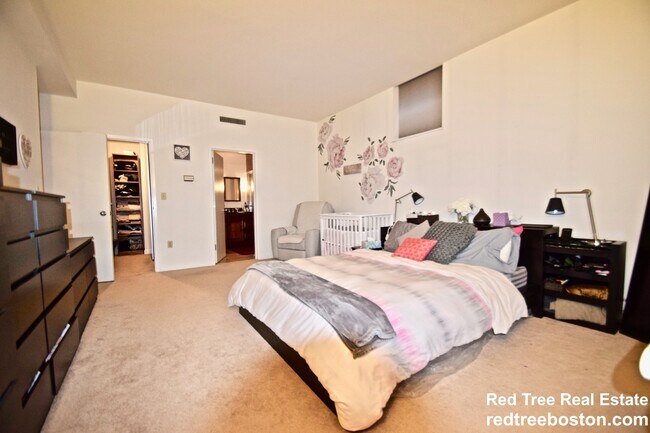 51 Winchester St, Unit #206 in Brookline, MA - Building Photo - Building Photo