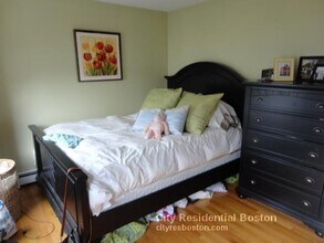 178 W 8th St, Unit 2 in Boston, MA - Building Photo - Building Photo