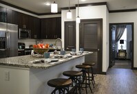 2BR, 2BA - 1,253 SF - Falcon - Kitchen - 9910 Sawyer Apartamentos in Louisville, Kentucky