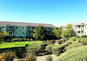 VINTAGE AT SEVEN HILLS 55+ COMMUNITY in Henderson, NV - Building Photo - Building Photo