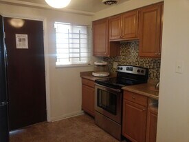 8109 S King Dr in Chicago, IL - Building Photo