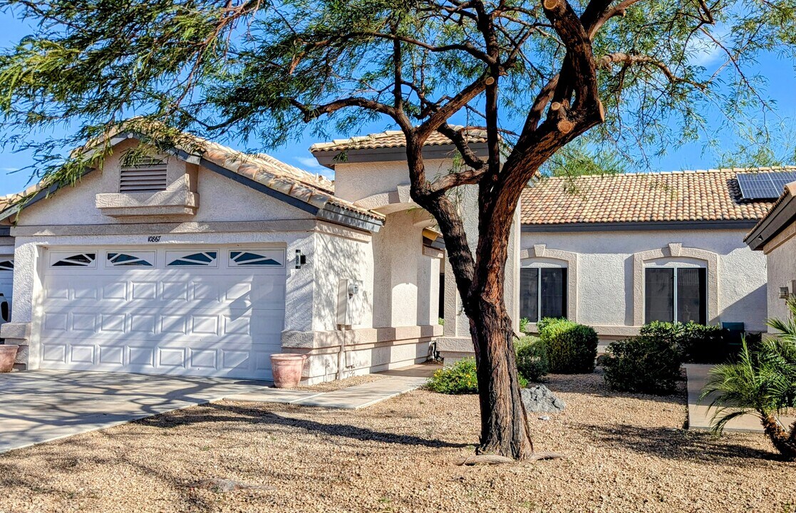 10867 W Chino Dr in Sun City, AZ - Building Photo