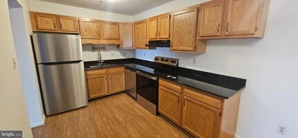 205 Hailey Ln in Strasburg, VA - Building Photo - Building Photo