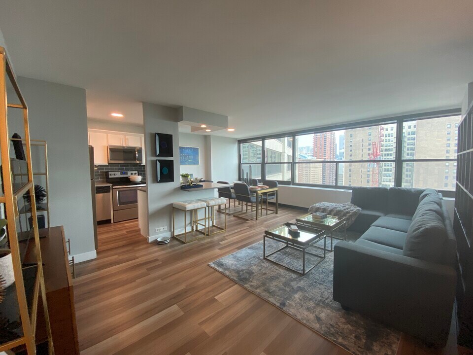 1006 S Michigan Ave in Chicago, IL - Building Photo