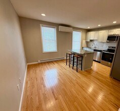 209 S Meadow St in Ithaca, NY - Building Photo - Building Photo