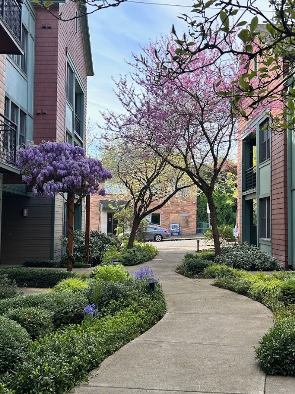 La Stella Apartments in Portland, OR - Foto de edificio - Building Photo