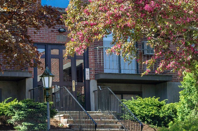 property at 11 Darling St