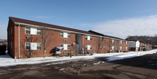 Holly Manor Apartments in South Shore, KY - Building Photo - Building Photo