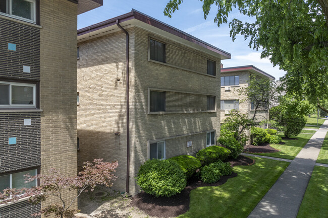 Euclid Court in Oak Park, IL - Building Photo - Building Photo