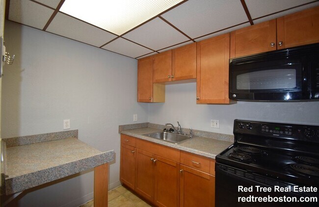 1243 Beacon St, Unit 1B-Brookline in Brookline, MA - Foto de edificio - Building Photo