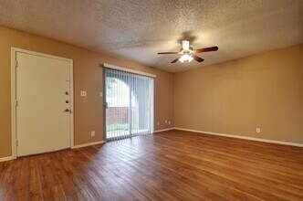 2414 Ventura Dr in Austin, TX - Building Photo - Building Photo