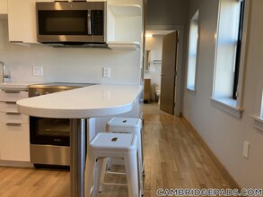 115 Mt Auburn St in Cambridge, MA - Building Photo - Building Photo