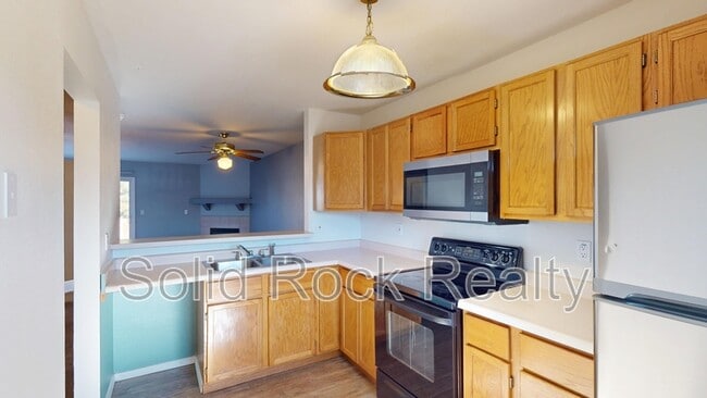 971 Brant Hollow Ct in Colorado Springs, CO - Building Photo - Building Photo