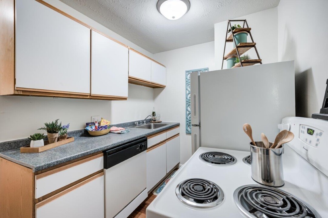 Lakeshore Drive Apartment Homes in Cincinnati, OH - Building Photo