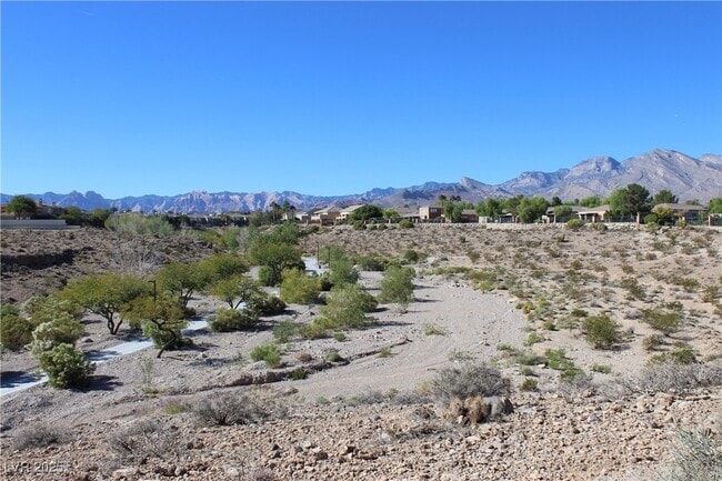 property at 733 Chase Tree St