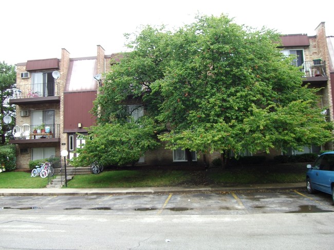 Oak Terrace in Mount Prospect, IL - Building Photo - Building Photo