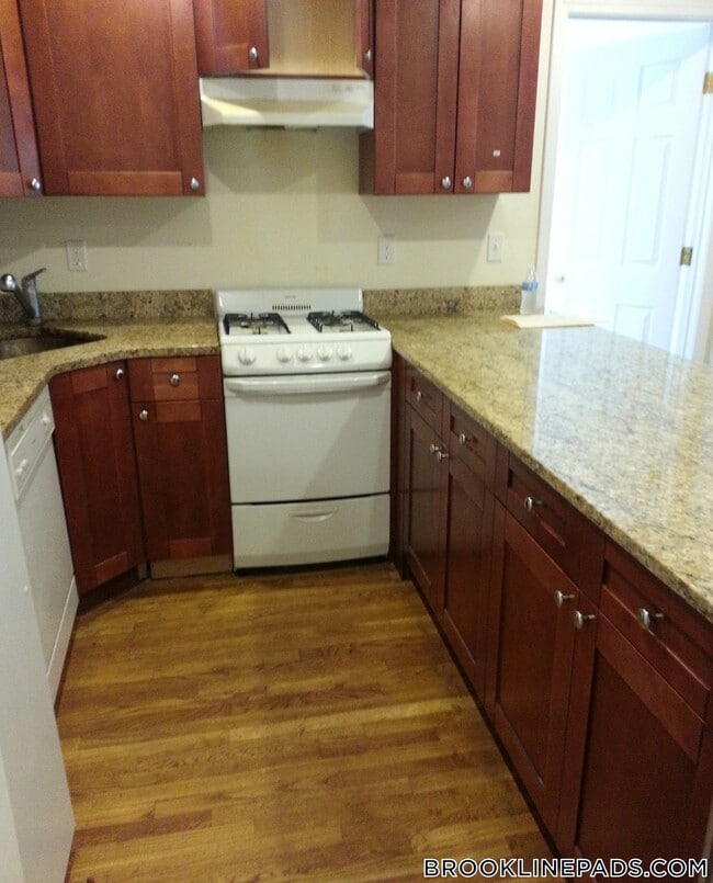 62 Egmont St in Brookline, MA - Foto de edificio - Building Photo