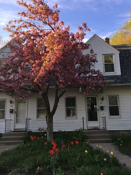 20 Elmwood St in Maynard, MA - Building Photo