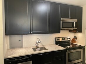 535 N Michigan Ave in Chicago, IL - Building Photo - Building Photo
