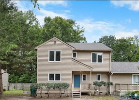 12916 Copperas Ln in Richmond, VA - Building Photo