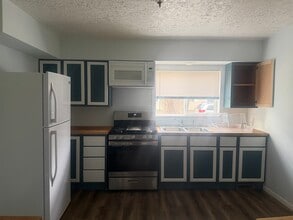 31 Oxford St in Battle Creek, MI - Building Photo - Building Photo