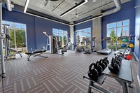 Alta West Gray photo'