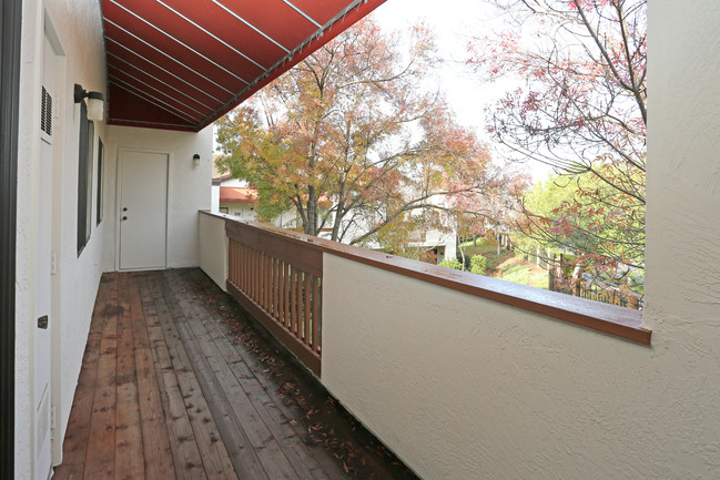 Greentree Terrace Apartments in Concord, CA - Building Photo - Interior Photo