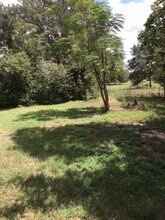 175 Farm to Market 535 in Smithville, TX - Building Photo - Building Photo