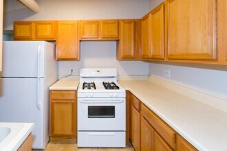 1604 W Berwyn Ave in Chicago, IL - Building Photo - Building Photo