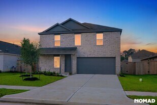 1519 Rose Blush Ln in Crosby, TX - Building Photo