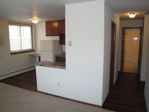 4th Street Apartments in Minneapolis, MN - Building Photo - Building Photo