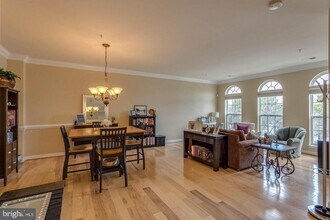 14233 St Germain Dr-Unit -6 in Centreville, VA - Building Photo - Building Photo