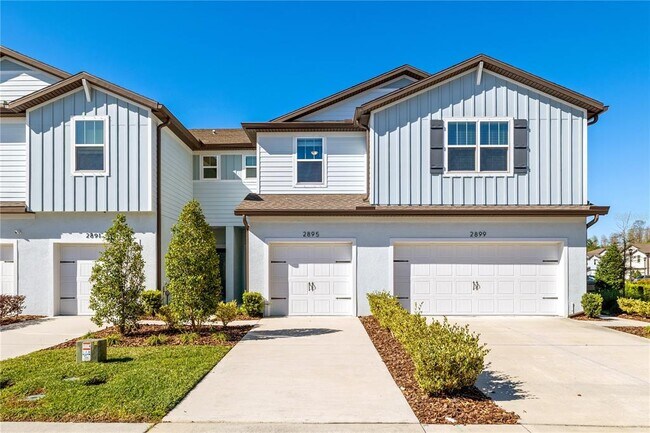 2895 Deer Pine Trail in Land O Lakes, FL - Building Photo - Building Photo