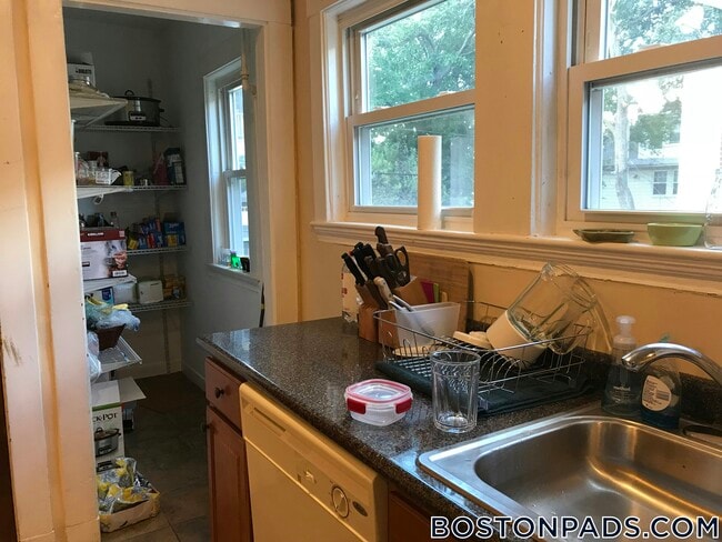 289 Foster St in Boston, MA - Building Photo - Building Photo