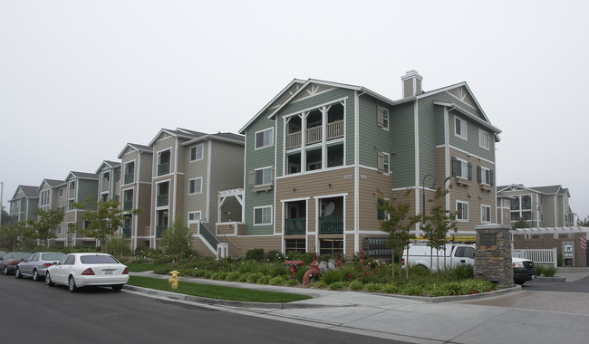 Maple Square Apartments in Fremont, CA - Building Photo - Building Photo