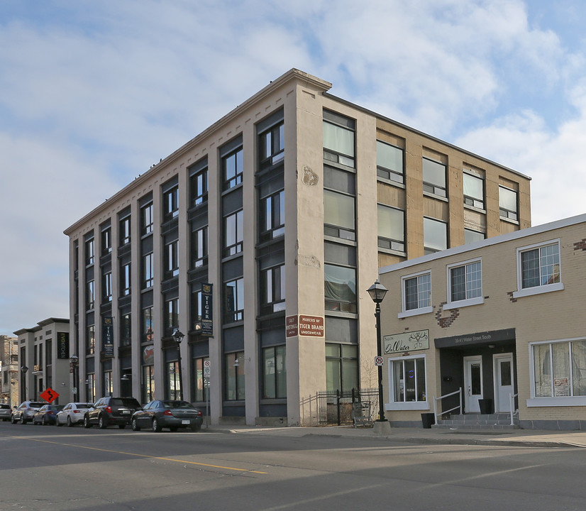 Tiger Lofts in Cambridge, ON - Building Photo