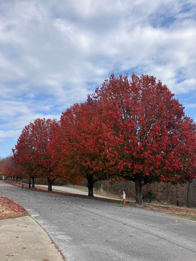 8675 Golf Creek Dr in Little Flock, AR - Building Photo - Building Photo