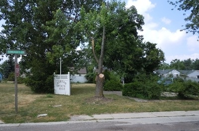 1003 Lansing St in Adrian, MI - Foto de edificio