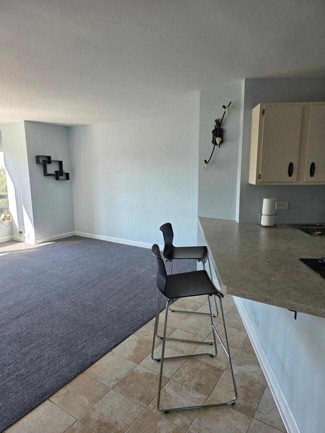 5415 N Sheridan Rd, Unit 1012 in Chicago, IL - Building Photo - Building Photo