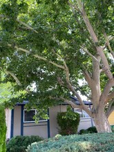 1380 Surf Way in Reno, NV - Building Photo - Building Photo