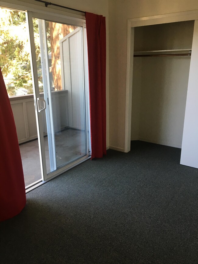 149 Hunolt St in Santa Cruz, CA - Building Photo - Building Photo