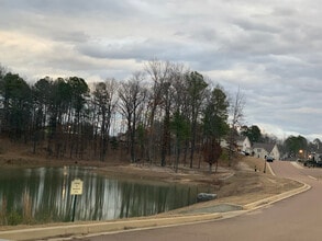 425 Live Oak Dr in Oxford, MS - Building Photo - Building Photo