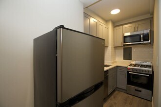 508 W Belmont Ave in Chicago, IL - Building Photo - Building Photo