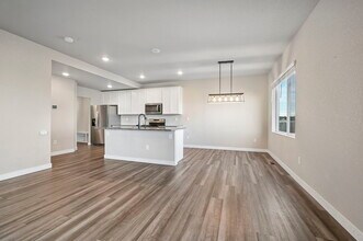 11197 House Finch Ln in Colorado Springs, CO - Building Photo - Building Photo