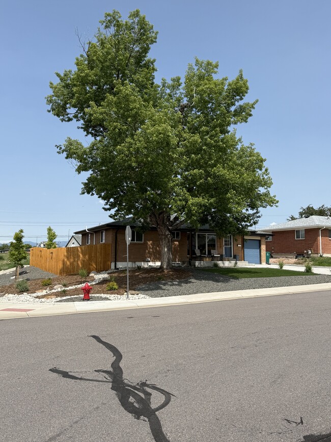 7101 Clay St in Westminster, CO - Foto de edificio - Building Photo