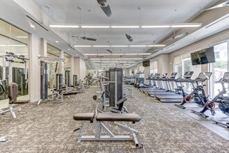 Domain on the Parkway in Houston, TX - Building Photo - Interior Photo