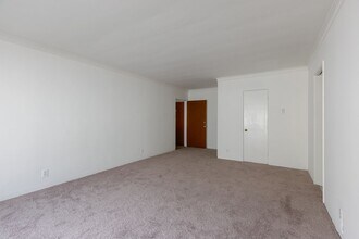 4909 Coldwater Canyon Ave in Los Angeles, CA - Building Photo - Building Photo