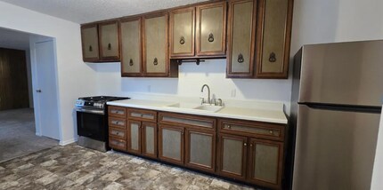 4166 Camelot Dr in Decatur, IL - Building Photo - Building Photo