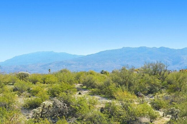 770 N Lazy J Wy in Tucson, AZ - Building Photo - Building Photo