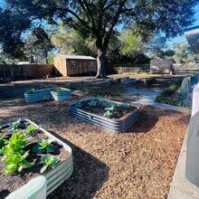 419 Marlowe Dr in Fort Walton Beach, FL - Foto de edificio - Building Photo